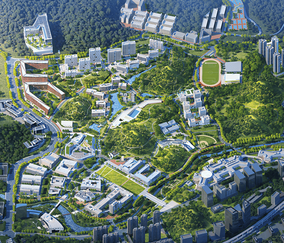 南方科技大学